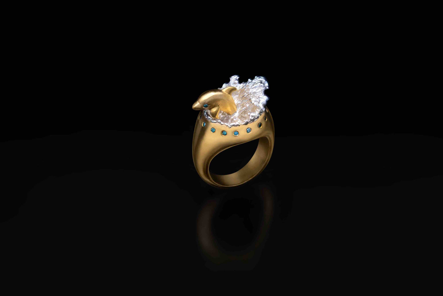 Dolphin and the Sea ring