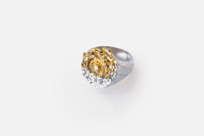 A unique textured silver and gold vermeil ring featuring a gold swirl with a central sun, set against a textured silver background like the sea and tides moving at dawn, on a clean white background.